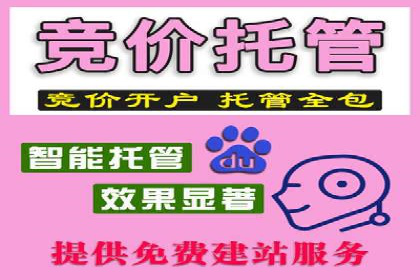 成功运用百度竞价代理，实现品牌快速崛起
